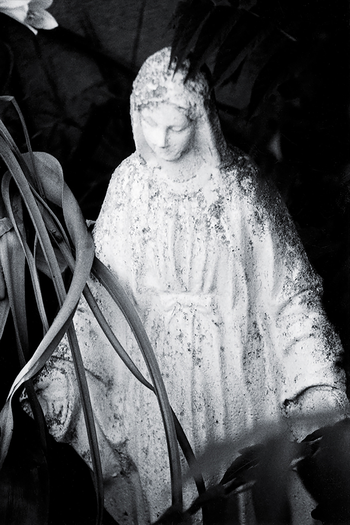 Mary In The Garden.