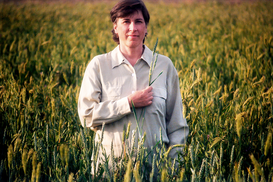 Mother In A Wheat Field.