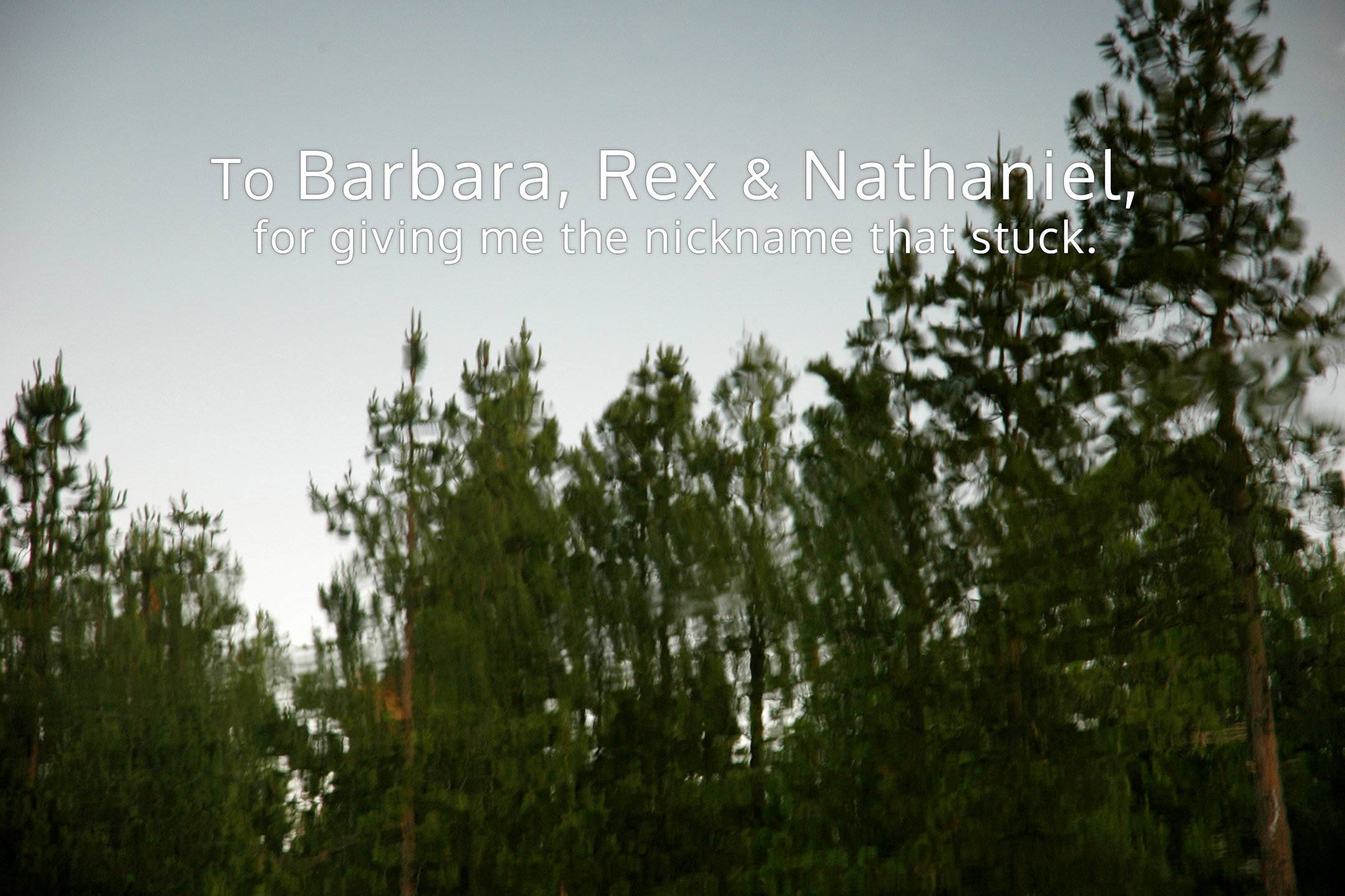 Acknowledgement Page.